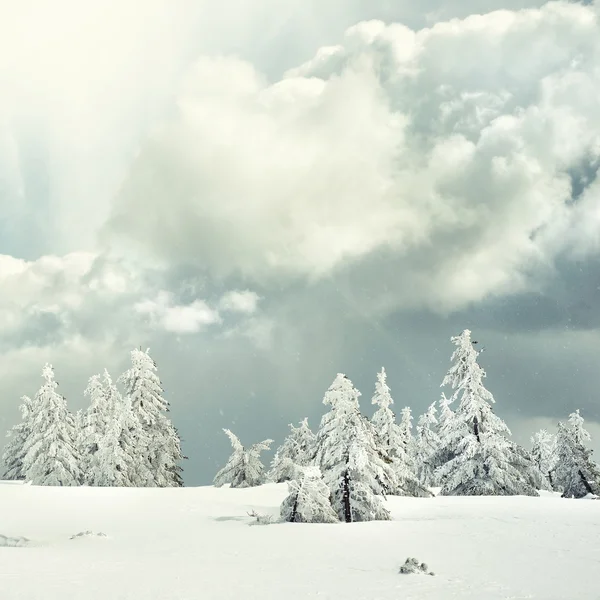 Paesaggio invernale — Foto Stock