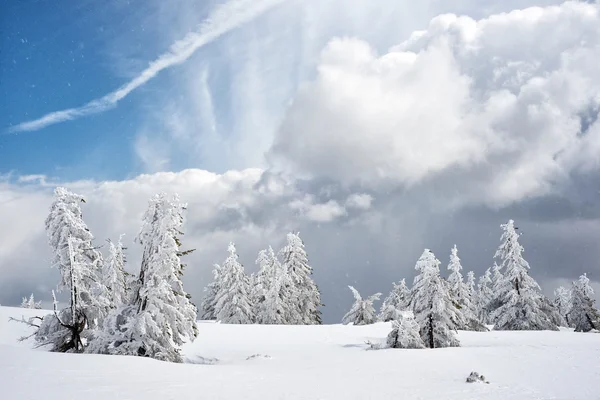 Paesaggio invernale — Foto Stock