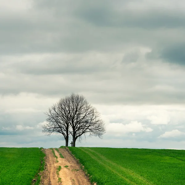 Přímá cesta — Stock fotografie