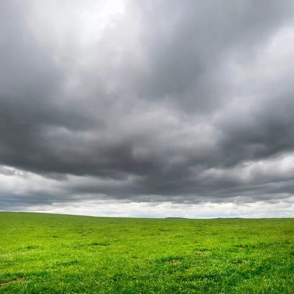 Prato — Foto Stock