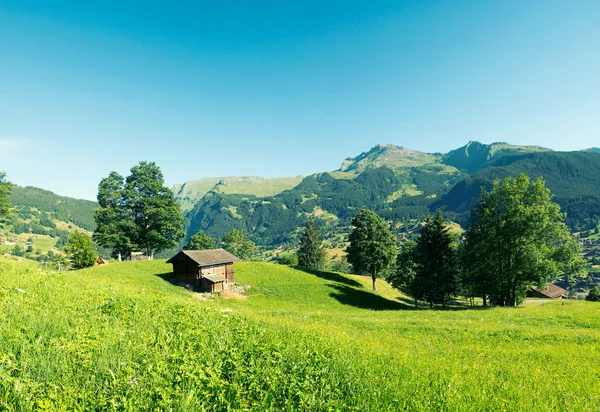 Sob eiger — Fotografia de Stock