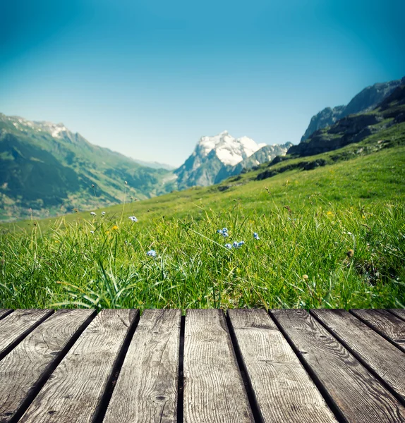 Mountains meadow — Stock Photo, Image