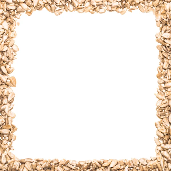 Slunečnicová semínka rám — Stock fotografie