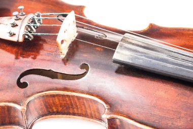 A violin or fiddle from the front side clipart