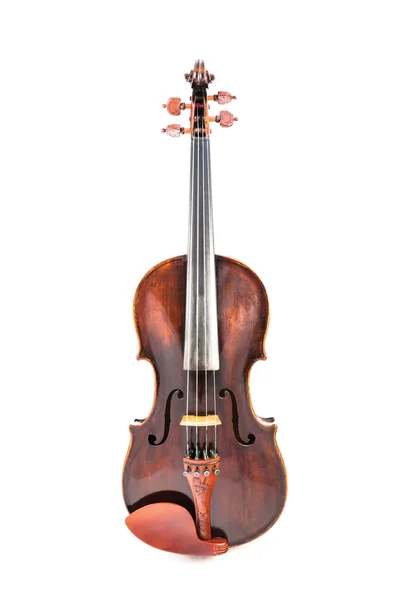 A violin or fiddle from the front side — Stock Photo, Image