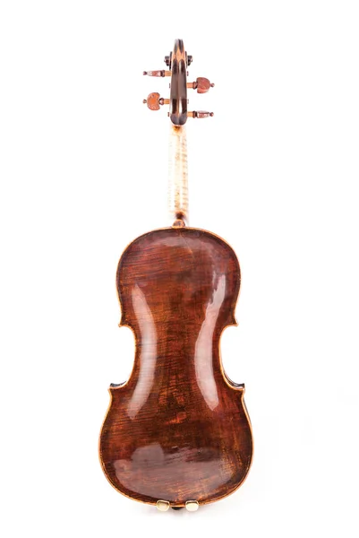 Violon ou violon à l'arrière — Photo