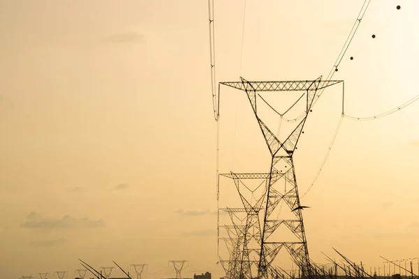 Transmisión de energía eléctrica por líneas eléctricas de alto voltaje. —  Fotos de Stock