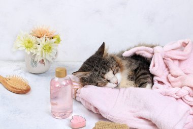 Havlunun üzerinde aromatik su ve uyuyan kedi, gül suyu aromaterapisi ve cilt bakımı, yaşam tarzı konsepti, davetiye ve reklam kartı olan spa ve sağlık kompozisyonu.,