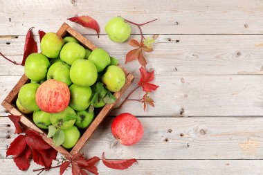 Tahta masadaki bir kutuda elmalar, Şükran Günü arkaplanı, hasat, sağlıklı doğal gıda konsepti, detoks diyeti ve vücut temizleme, yazı için yer, afiş.