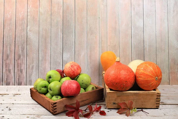 Jesienny Kompozycja Sezonowy Cukinia Dynia Jabłko Liść Drewniany Tło Szczęśliwy — Zdjęcie stockowe