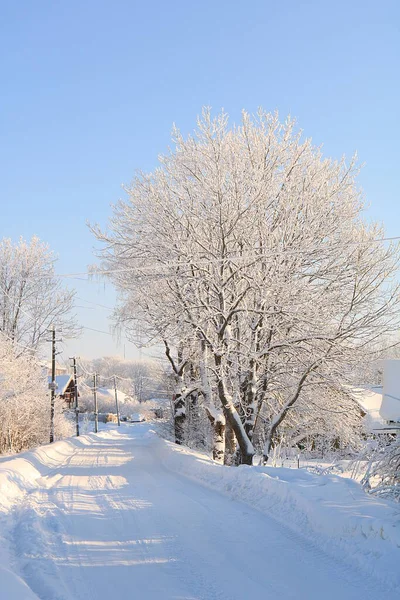Russische Natur Winter Weihnachtlicher Hintergrund Nach Einem Schneefall Sind Die — Stockfoto