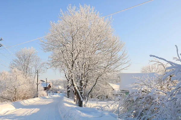 Russische Natur Winter Weihnachtlicher Hintergrund Nach Einem Schneefall Sind Die — Stockfoto