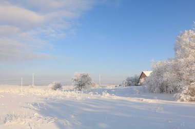 Kışın Rus doğası, Noel arkaplanı. Bir kar yağışından sonra, ağaç dalları karla kaplanır ve güneşte parlar, şiddetli don ve düşük sıcaklıklar. Bu güzel bir kış bayrağı, yeni yıl kartı.,