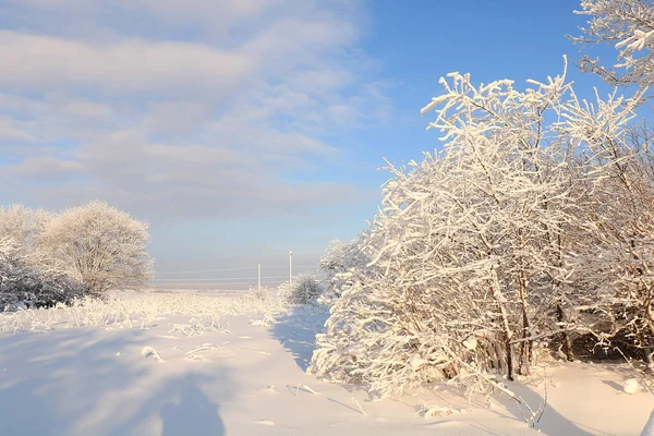 Nature Russe Hiver Fond Noël Après Une Chute Neige Les — Photo