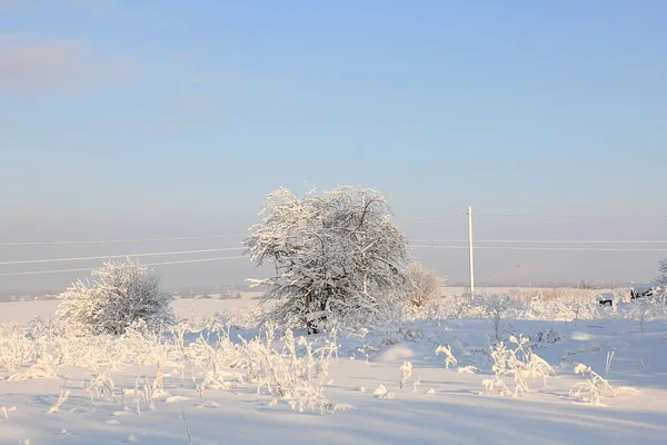 Russische Natur Winter Weihnachtlicher Hintergrund Nach Einem Schneefall Sind Die — Stockfoto