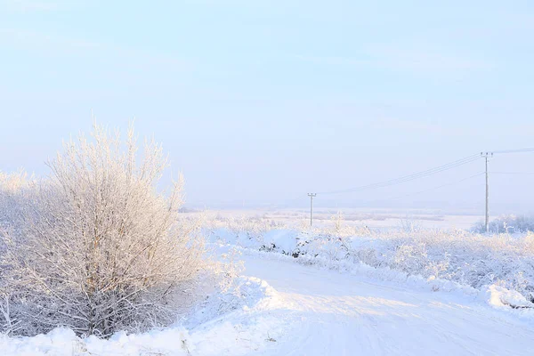 Russische Natur Winter Weihnachtlicher Hintergrund Nach Einem Schneefall Sind Die — Stockfoto