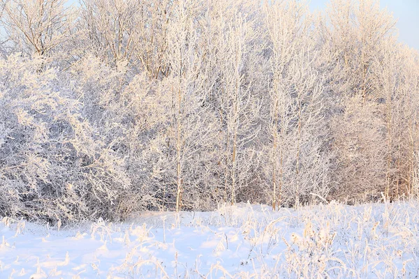 Russische Natur Winter Weihnachtlicher Hintergrund Nach Einem Schneefall Sind Die — Stockfoto