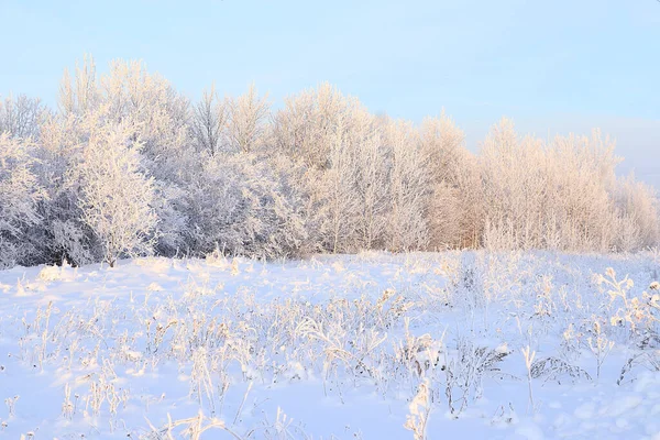 Russische Natur Winter Weihnachtlicher Hintergrund Nach Einem Schneefall Sind Die — Stockfoto