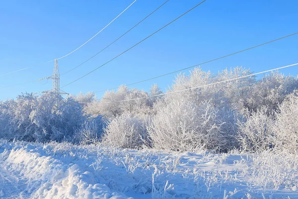 Russische Natur Winter Weihnachtlicher Hintergrund Wald Nach Schneefall Äste Von — Stockfoto