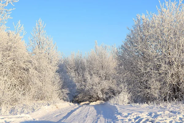 Russische Natur Winter Neujahrshintergrund Straße Wald Äste Sind Mit Schnee — Stockfoto