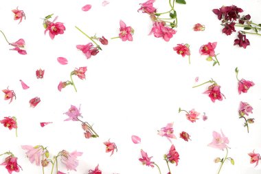 Soyut çiçek kompozisyonu düz döşeme, arka plan, minimum tatil konsepti, bahar afişi. Anneler günü kartı, kadınlar günü, mutlu yıllar, düğün, seçici odaklanma,