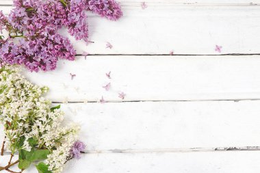 Soyut çiçekli kompozisyon düz döşeme, arka plan, bahar afişi. Ahşap bir masanın üzerindeki leylak dallarından yapılmış çerçeve. Anneler günü kartı, kadınlar günü, mutlu yıllar, düğün, mesajlaşma yeri,