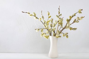 Delicate pussy willow flowers in a vase on a gray background, abstract spring flower arrangement, minimal holiday concept, still life, banner. Easter card, home interior, selective focus