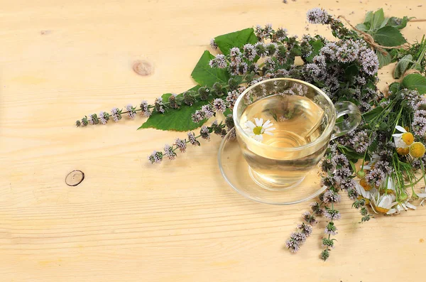 Set of medicinal plants, chamomile and mint herbal tea, concept of alternative medicine and natural cosmetics, background, medicinal herbs are used to treat diseases, flat lay, selective focus