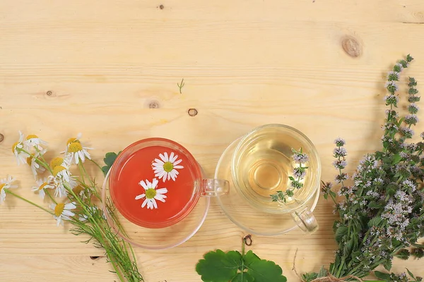 Set of medicinal plants, chamomile and mint herbal tea, concept of alternative medicine and natural cosmetics, background, medicinal herbs are used to treat diseases, flat lay, selective focus