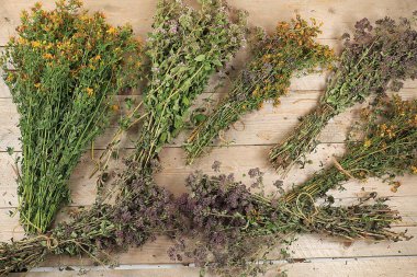 Şifalı bitkiler ve yabani otlar, alternatif tıp ve doğal kozmetik konsepti, arka plan, nane, papatya, kekik otu ve yarrow hastalıkların tedavisinde kullanılır.