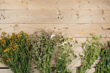 Şifalı bitkiler ve yabani otlar, alternatif tıp ve doğal kozmetik konsepti, arka plan, nane, papatya, kekik otu ve yarrow hastalıkların tedavisinde kullanılır.