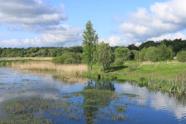 Yazın, güneşli bir günde nehir veya göl manzarası, doğal arka plan, kırsal bir bölgede seyahat kavramı, seçici bir odak noktası.