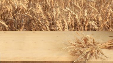 Buğday tarlasının arka planında boş ahşap bir masa ve bir demet buğday, hasat konsepti. Yahudi bayramı Shavuot, tasarım ve ürün tanıtımı için maket, seçici odaklanma