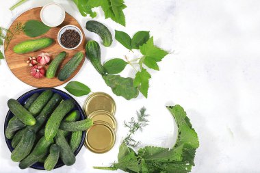 Salatalık ve turşu turşusu, ev konservesi konservesi, sağlıklı ve doğal beslenme. Salatalık, dereotu, sarımsak, frenk üzümü, kiraz, yabanturpu, meşe ve fesleğen, kırsal turşu tarifi, seçici odaklanma.