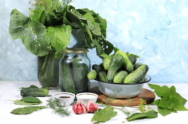 Salatalık ve turşu turşusu, ev konservesi konservesi, sağlıklı ve doğal beslenme. Salatalık, dereotu, sarımsak, frenk üzümü, kiraz, yabanturpu, meşe ve fesleğen, kırsal turşu tarifi, seçici odaklanma.