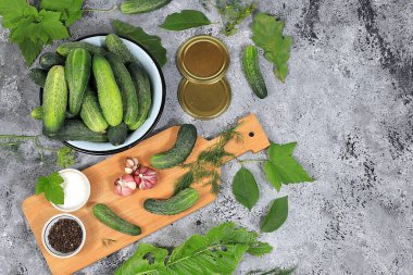 Salatalık ve turşu turşusu, ev konservesi konservesi, sağlıklı ve doğal beslenme. Salatalık, dereotu, sarımsak, frenk üzümü, kiraz, yabanturpu, meşe ve fesleğen, kırsal turşu tarifi, seçici odaklanma.