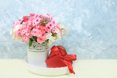 Vazoda Phlox çiçekleri, soyut çiçek aranjmanı, ilkbahar ya da sonbahar arkaplanı yazı için yer, asgari tatil konsepti, natürmort hayat, kartpostal. Mutlu anneler günü, mutlu kadınlar günü, mutlu yıllar, düğün, seçici odaklanma