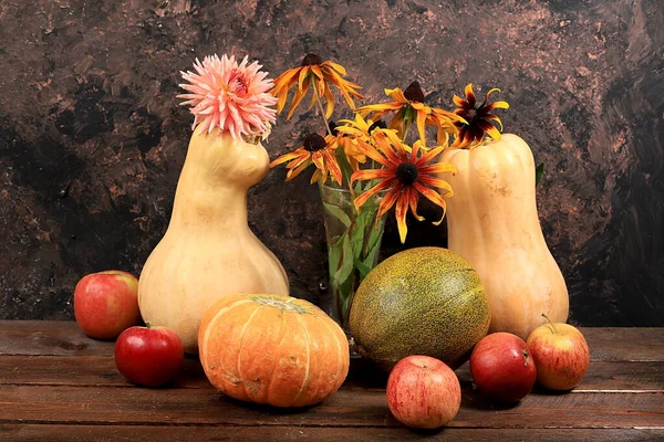 Happy Thanksgiving Concept Fond Automne Avec Citrouilles Saisonnières Melons Pommes — Photo