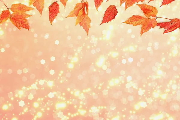 Осенняя Абстрактная Композиция Кленовыми Листьями Размытом Боке Концепция Дня Благодарения — стоковое фото