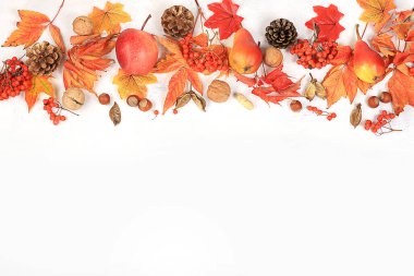 Akçaağaç yaprakları, çam kozalakları, fındıklar, elmalar ve rowan, sonbahar soyut kompozisyonu, Şükran Günü konseptleri, mevsimsel arka plan, pankart veya ekran koruyucu, metin, seçici odak noktası olan tebrik kartı veya davetiyesi