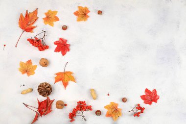 Akçaağaç yaprakları, çam kozalakları, fındık ve rowan ile sonbahar soyut kompozisyonu, Şükran Günü konsepti, mevsimsel arkaplan, pankart veya ekran koruyucu, metin, seçici odak için yer ile tebrik kartı veya davetiye