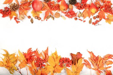 Akçaağaç yaprakları, çam kozalakları, fındık, elma, armut ve yaban mersinli çerçeve, metin, şükran günü konsepti, mevsimsel arkaplan, afiş, tebrik kartı,,