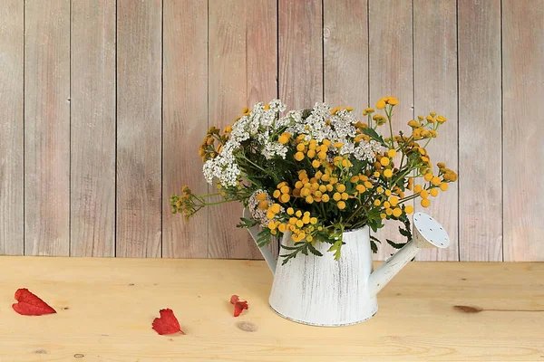Tansy Yarrow Watering Can Wooden Background Collection Useful Herbs Treatment — Stock Photo, Image