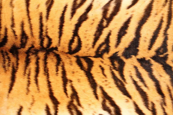 Listras pretas na pele texturizada tigre — Fotografia de Stock