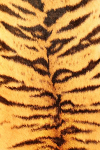 호랑이의 인조 모피 — 스톡 사진