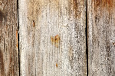 eski yıpranmış köknar plakalar doku