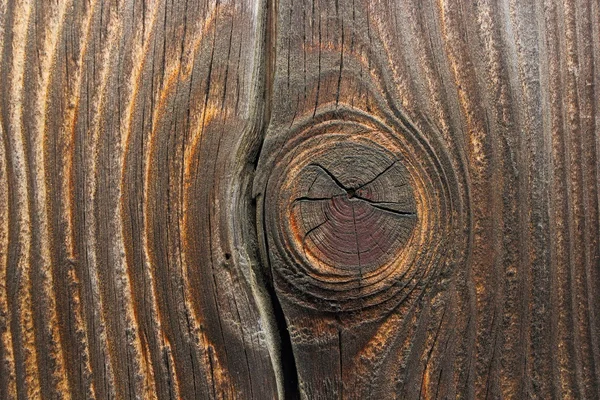 Détail de noeud en bois sur planche de sapin — Photo