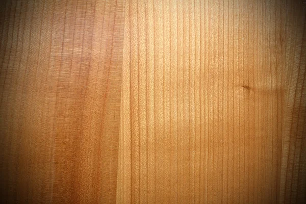 Textura de la chapa de abeto — Foto de Stock