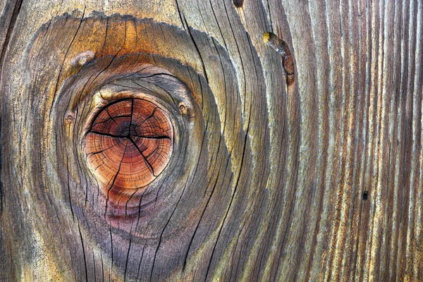 Fichte geknotet schöne Holzplanke — Stockfoto