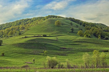 Yeşil tepe ve mavi gökyüzü